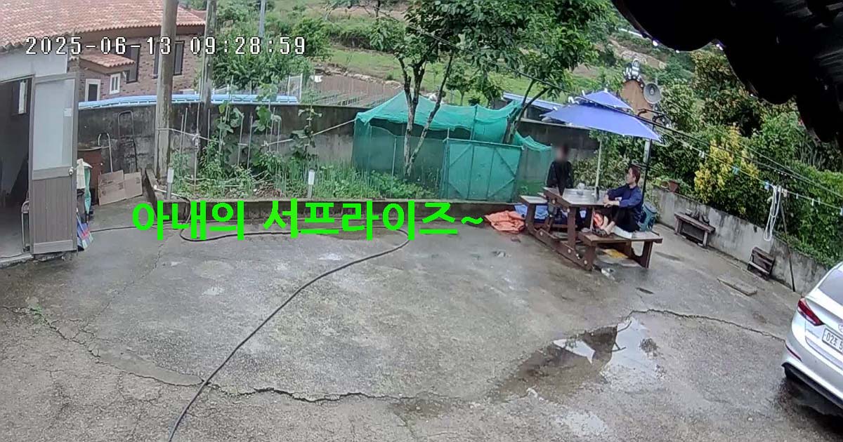 아내의 서프라이즈